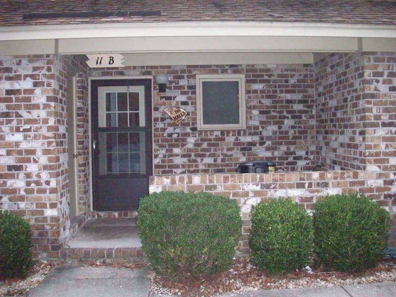 main photo