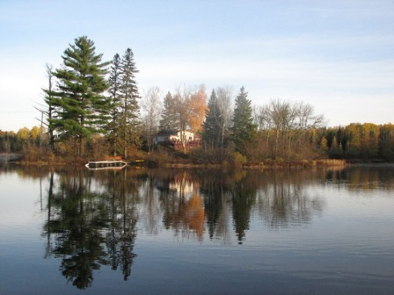 main photo