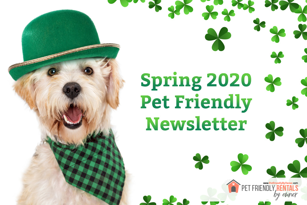 Florida Pet Friendly is your resource to find dog friendly rentals, and