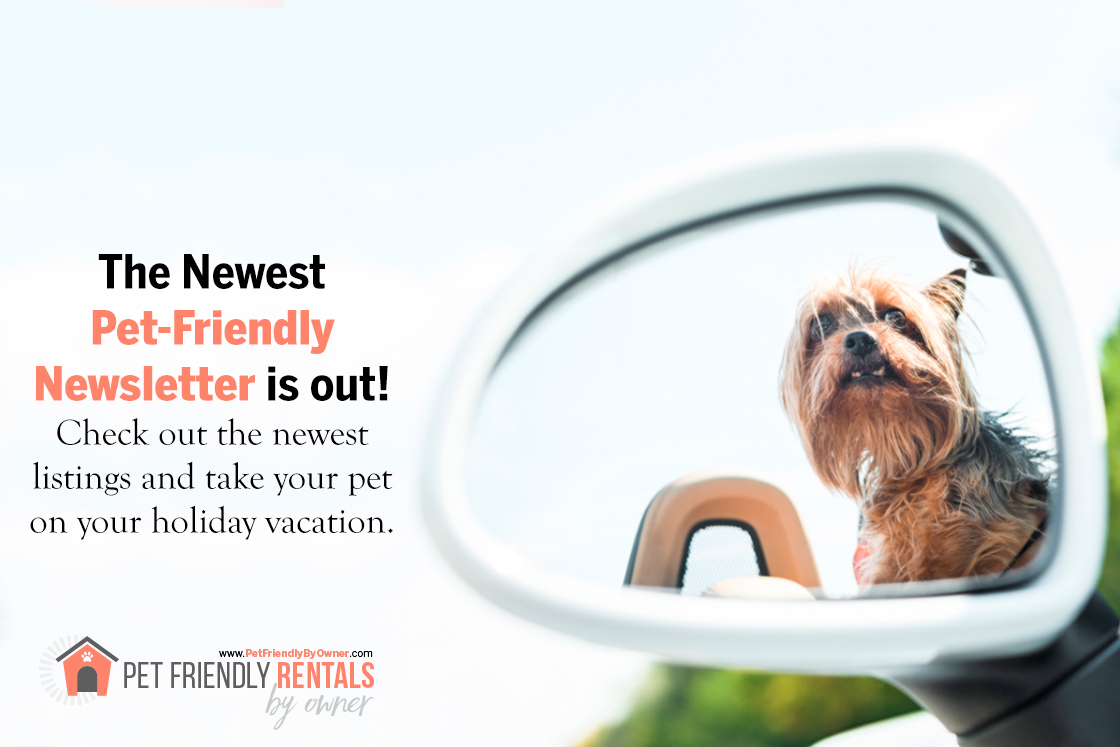 Florida Pet Friendly Is Your Resource To Find Dog Friendly Rentals And 