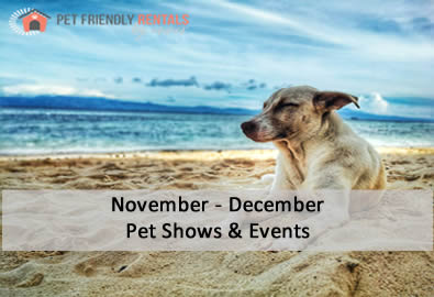 November-&-December-2019-Pet-Friendly-Shows-&-Events