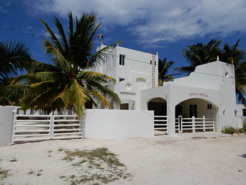 main photo