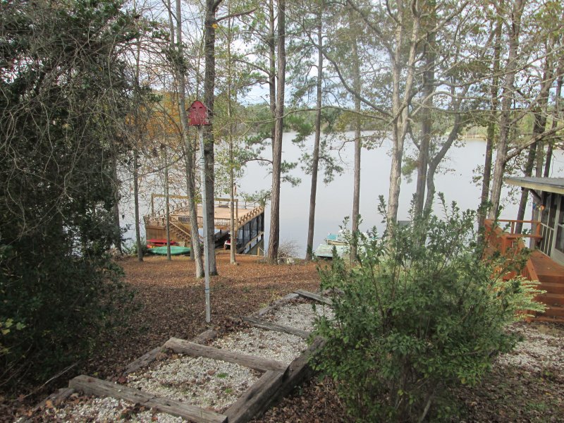 main photo