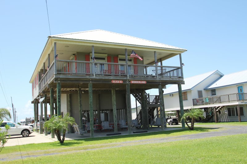 main photo
