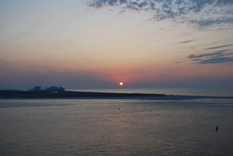 main photo
