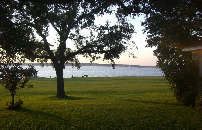 main photo